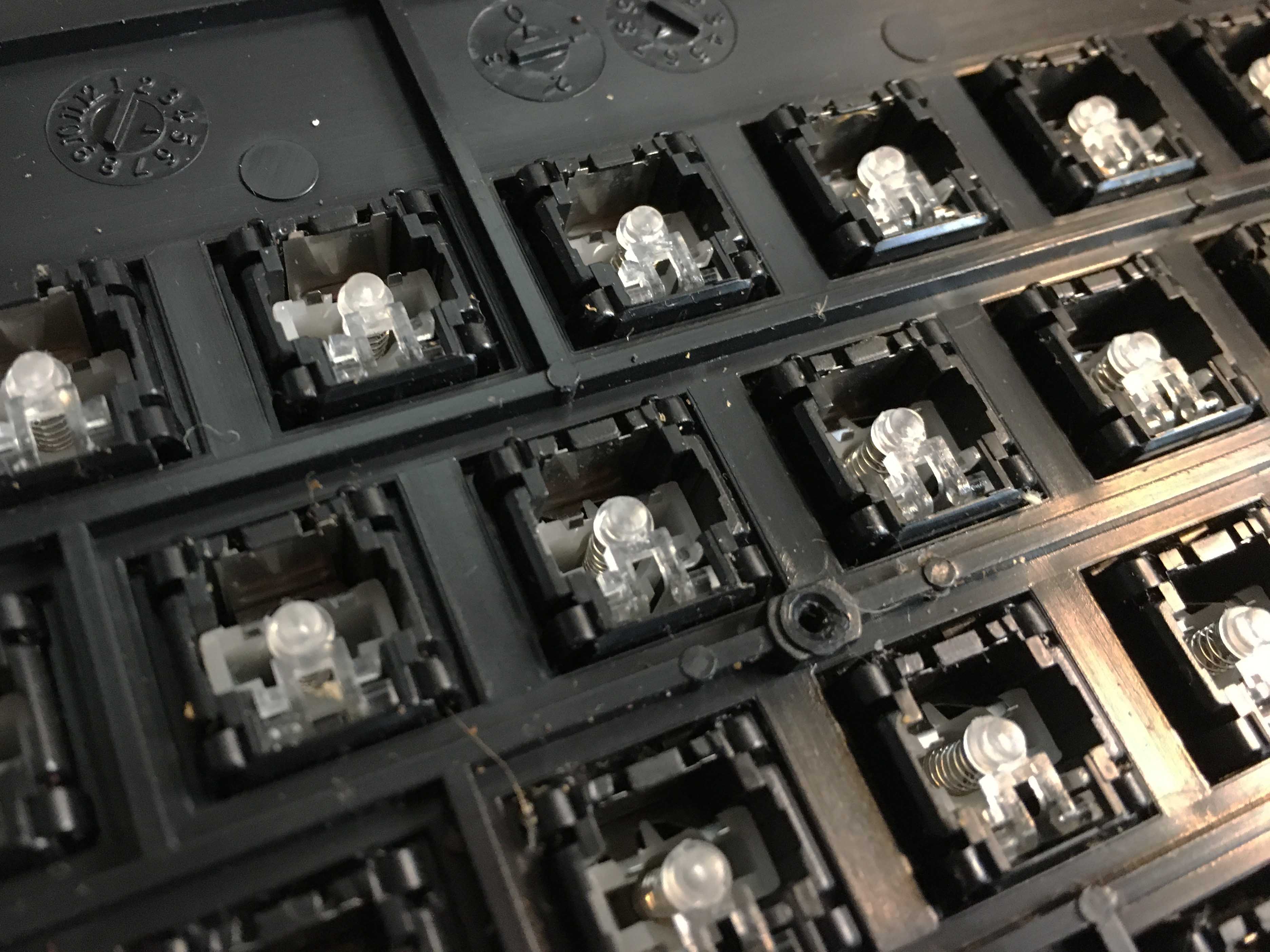 photo of bottom side of the switches, after removing the membrane layer.