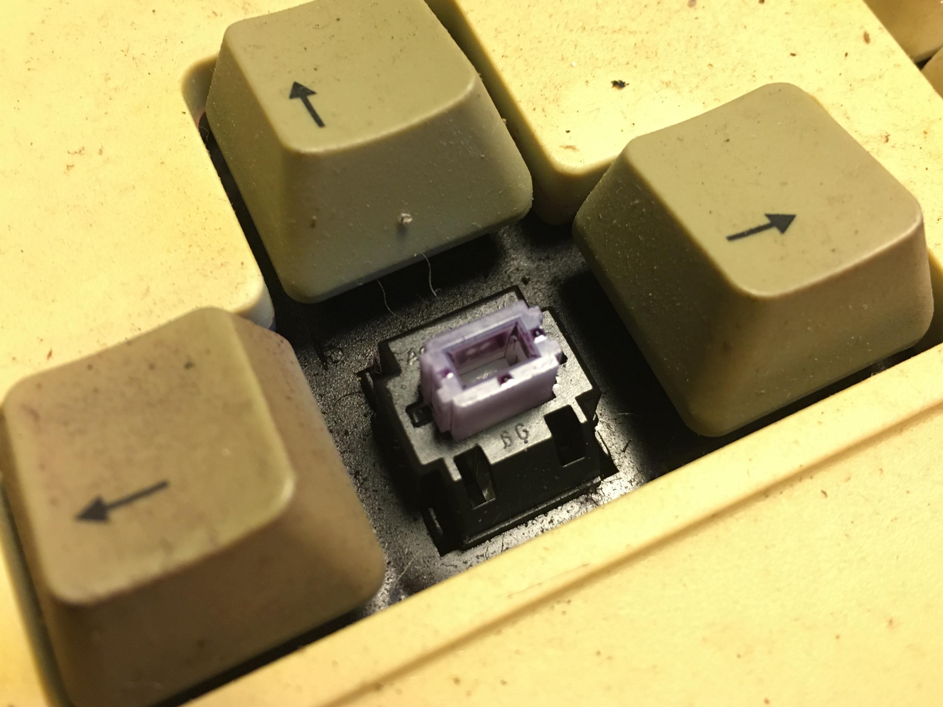 Photo of keyboard with one keycap removed, showing black switch underneath.