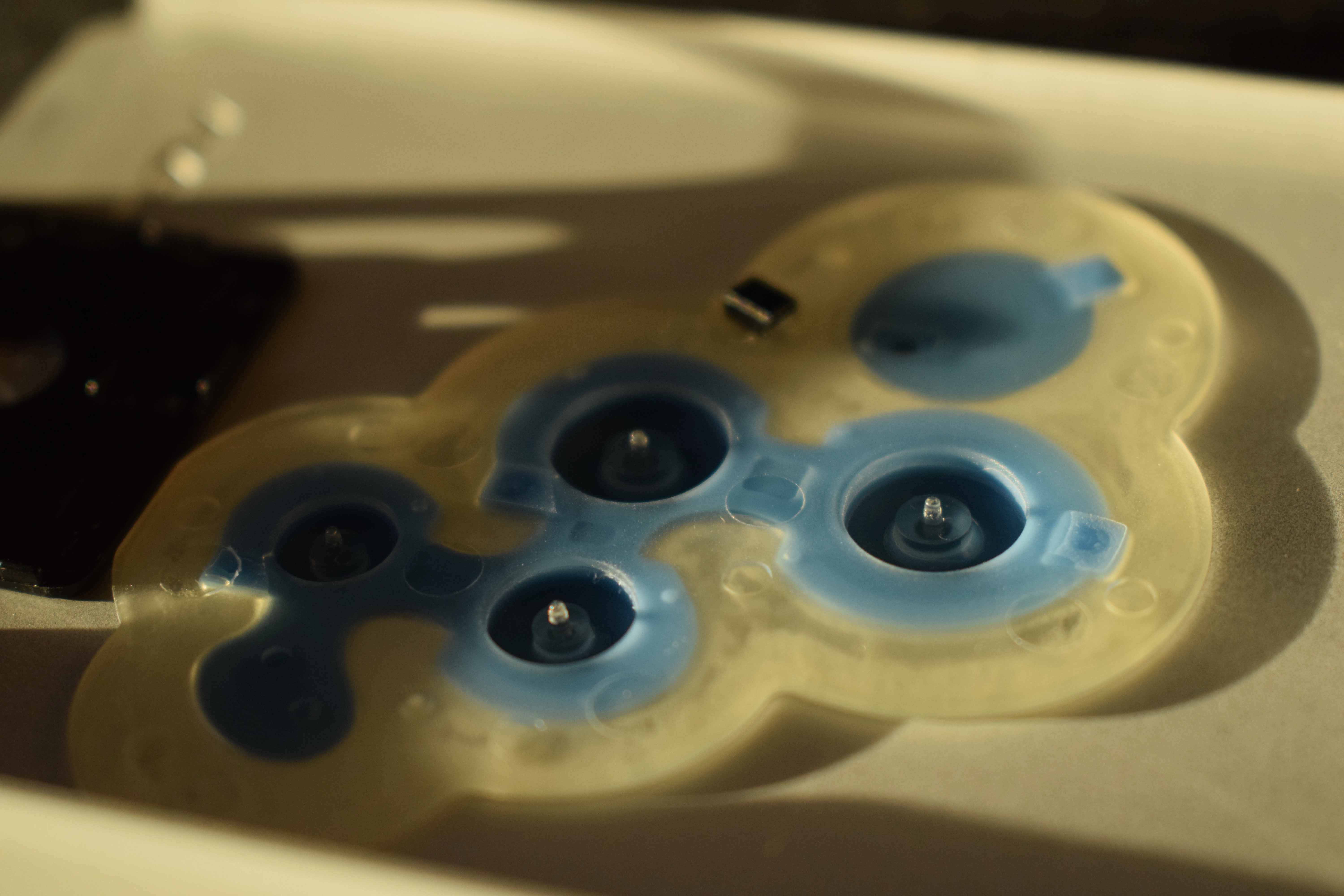 View of internal side of the membrane buttons.