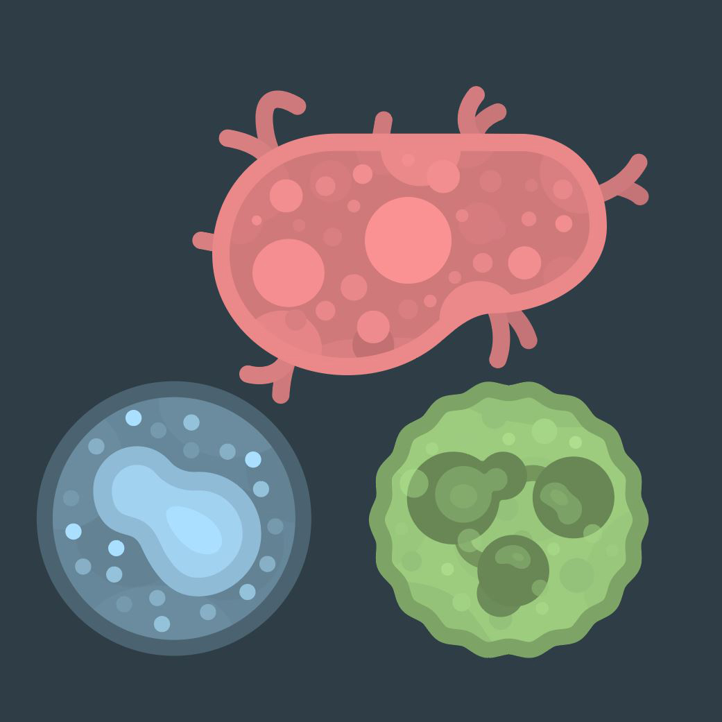 Illustrated immune system cells